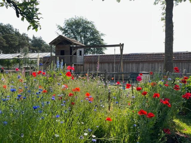 Logies Tuin Der Zinnen Rijkevorsel Exterior foto