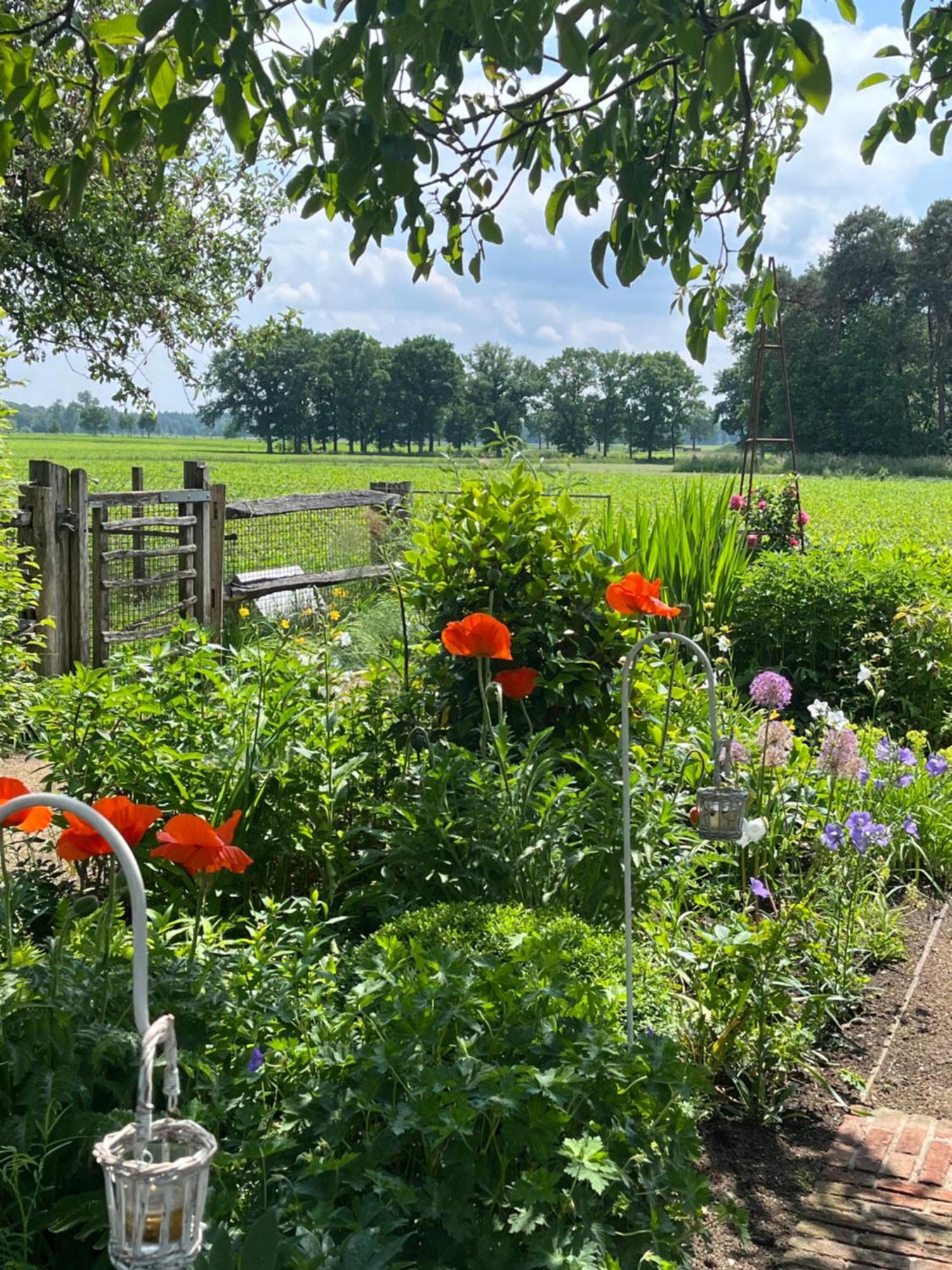 Logies Tuin Der Zinnen Rijkevorsel Exterior foto