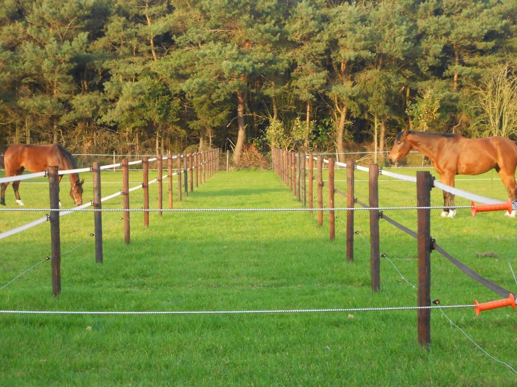 Logies Tuin Der Zinnen Rijkevorsel Exterior foto